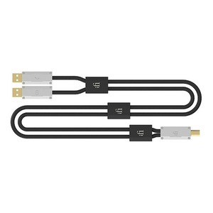 Кабель USB iFi Audio Accessory Gemini 0.7m