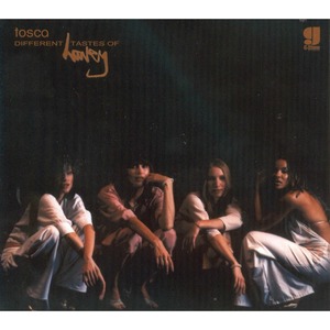 Виниловая пластинка LP Tosca - Different Tastes Of Honey (8002710001324)