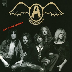 Виниловая пластинка LP Aerosmith - Get Your Wings (0887654861511)