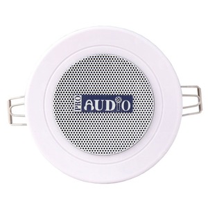 Колонка встраиваемая ProAudio CS-A5