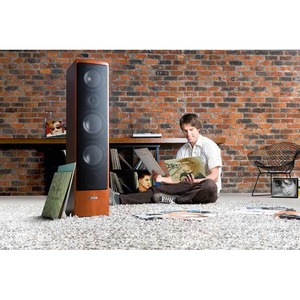 Колонка напольная CANTON Ergo 690 Wenge