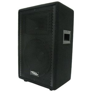 Колонка концертная FORCE SPJ-10AMP