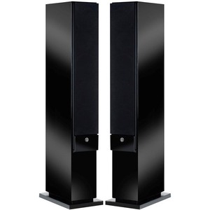Колонка напольная System Audio SA Explorer Master HG Black