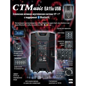 Колонка концертная Ms-Max CTMusic EA15a USB