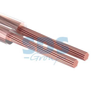 Отрезок акустического кабеля Rexant (арт. 2144) 01-6308 2x2.5 мм2 SILICON 5.0m
