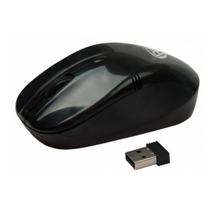 Беспроводная оптическая мышь Ritmix RMW-111