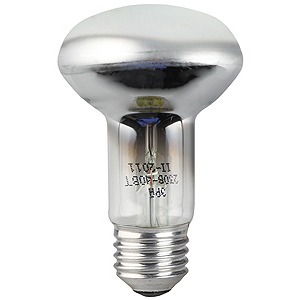 Лампа ЭРА R63-60W-230-E27