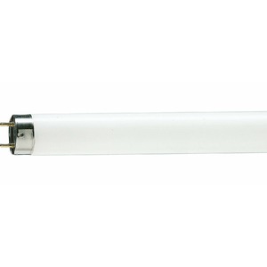 Лампа Philips TL-D G13 18W/33-640 SLV 872790081576400