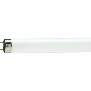 Лампа Philips TL-D G13 36W/33-640 SLV 872790081582500
