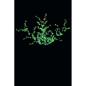 Световая фигура Neon-Night 531-324 Дерево зеленые светодиоды