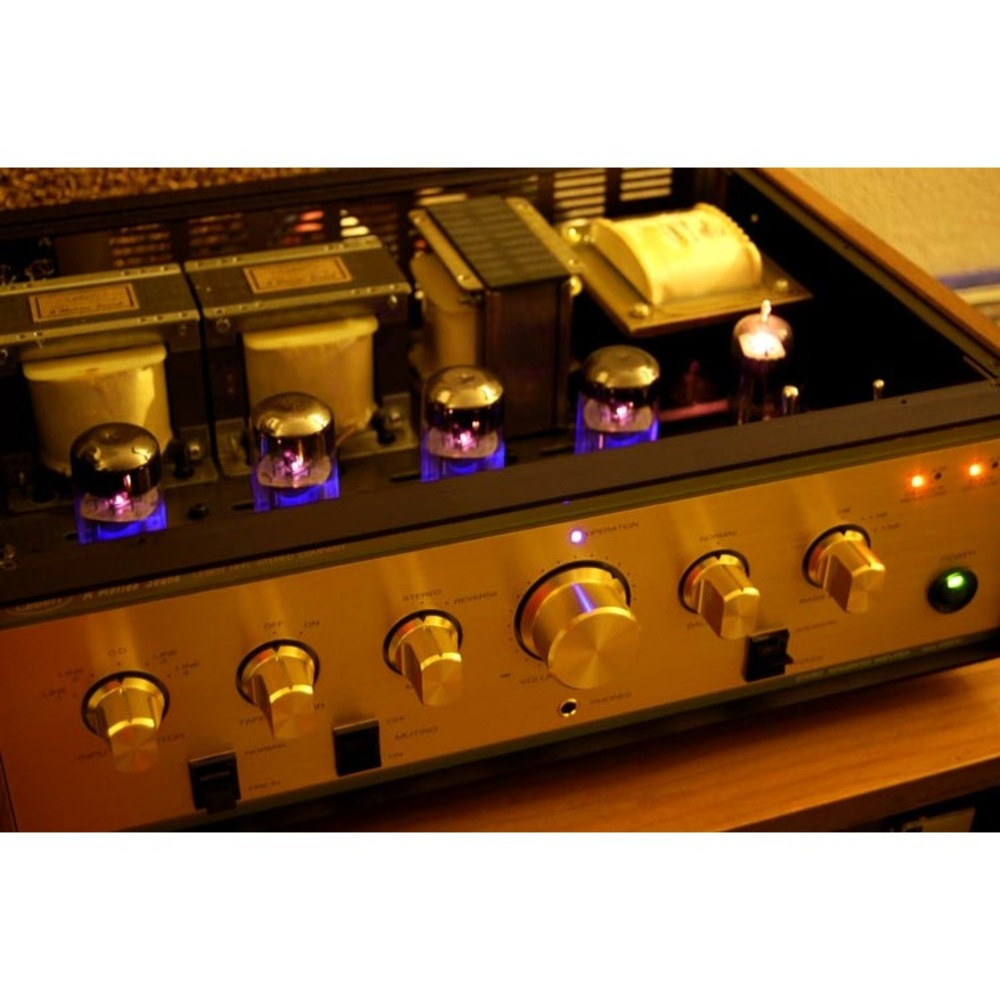 Усилитель интегральный Leben CS-600