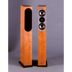 Колонка напольная ASW GENIUS 300 Dark Oak