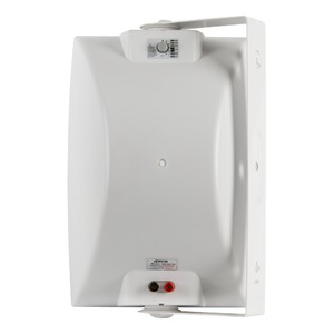 Колонка настенная Roxton MS-80TW