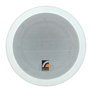 Колонка встраиваемая Roxton PA-610T