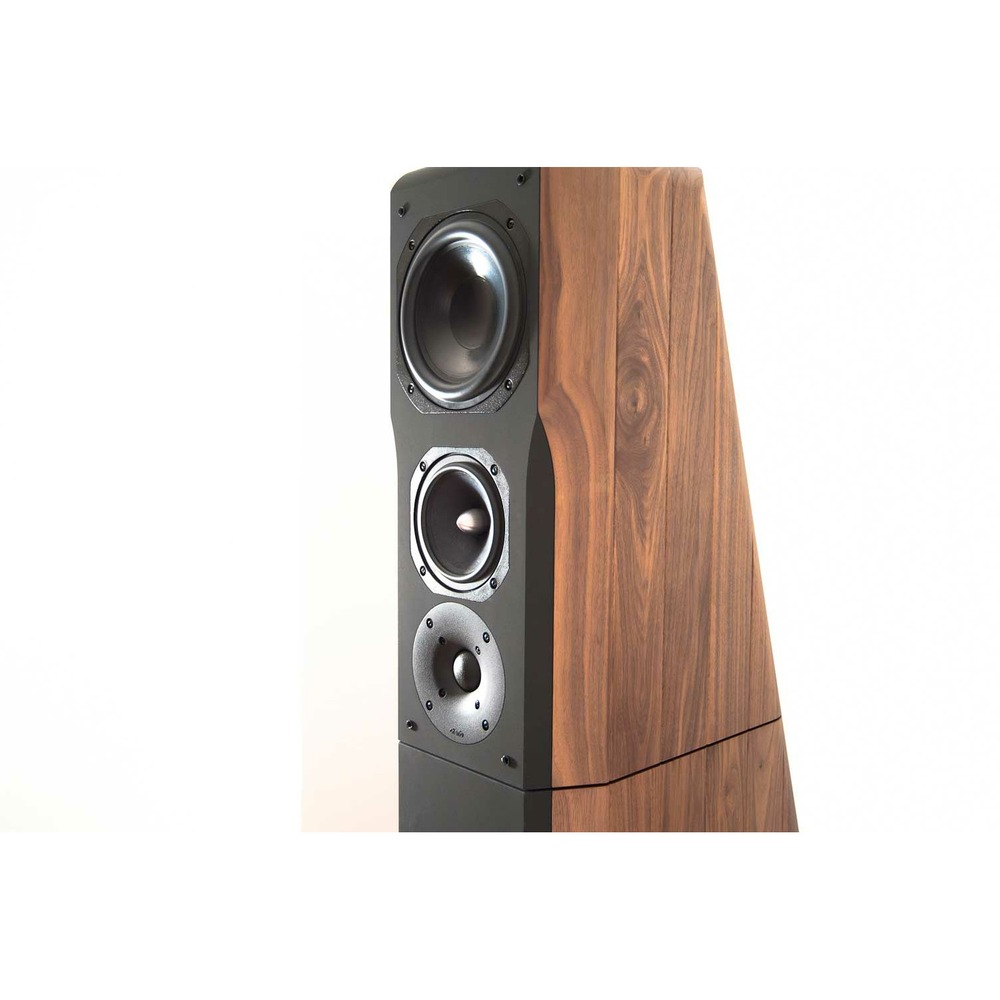 Колонка напольная Chario Constellation Ursa Major Walnut