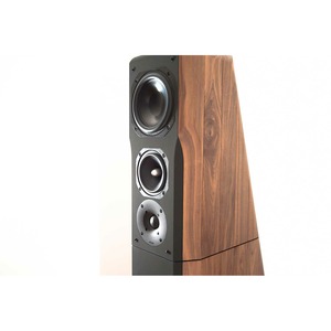 Колонка напольная Chario Constellation Ursa Major Walnut