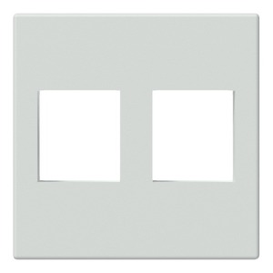 Модуль настенной панели для двух вставок Keystone Procab CP45KS2/W