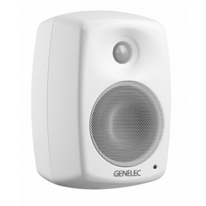 Студийный монитор Genelec 4020CWM