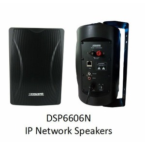 Колонка настенная DSPPA DSP-6606N IP