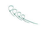 Хомут нейлоновый (кабельная стяжка) Rexant 07-0153-25 зеленый 150 х 2.5 мм (25 штук)