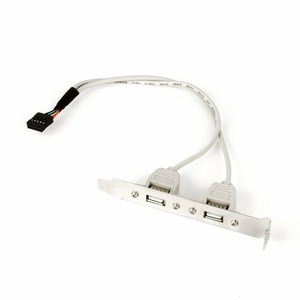 Планка с двумя портами USB 2.0 Cablexpert CCUSBRECEPTACLE