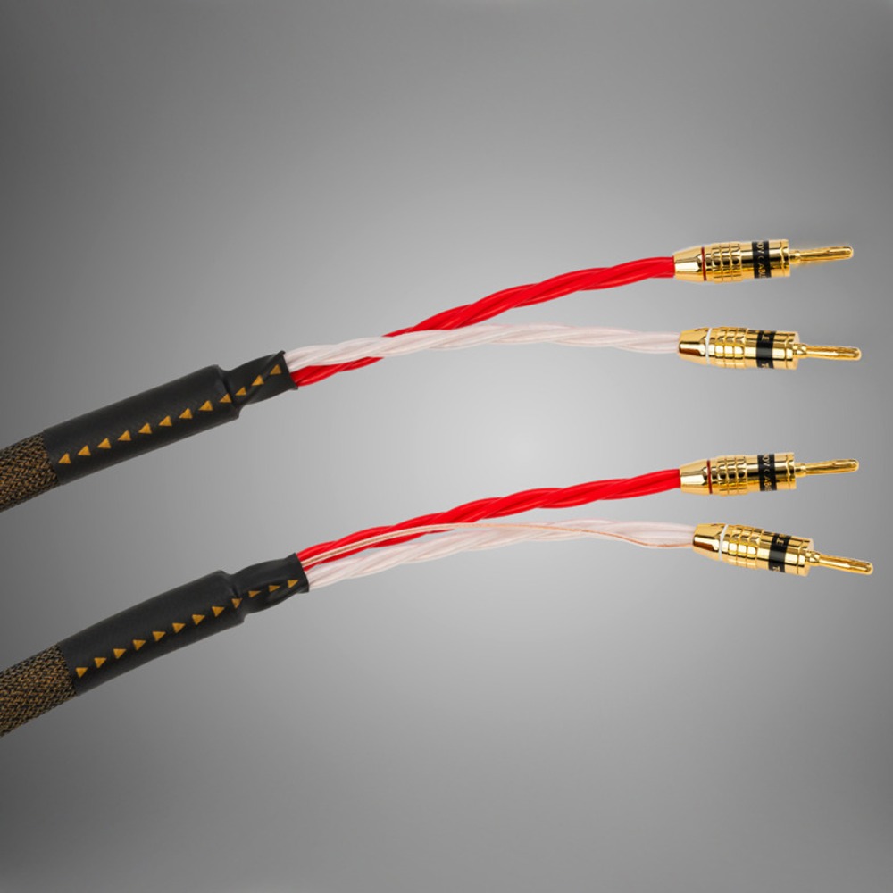 Акустический кабель Single-Wire Banana - Banana Tchernov Cable Reference DSC SC Bn/Bn 1.65m