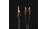 Кабель аудио Jack - RCA Audioquest Big Sur 3.5mm-RCA 0.6m