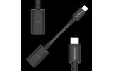 Переходник USB Audioquest Dragontail USB C