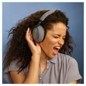 Наушники B&W PX7 Silver