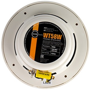 Колонка встраиваемая CVGaudio WT58W