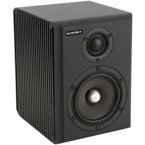 Беспроводная акустическая система с аккумулятором Aurender S5W Black