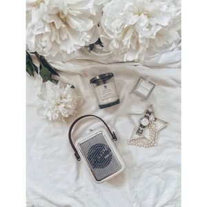 Портативная акустика Alive Audio Journey Pearl