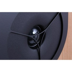 Колонка полочная Rega Kyte