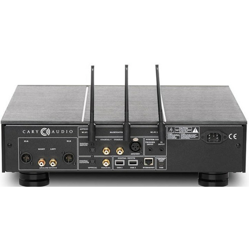 Сетевой плеер Cary Audio DMS-700 Silver