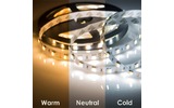 LED лента Lamper 141-244 цвет свечения белый (6000 К) + цвет свечения теплый белый (3000 К)