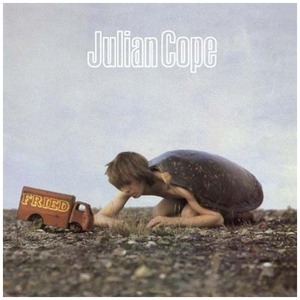 Виниловая пластинка LP Julian Cope - Fried (LP)
