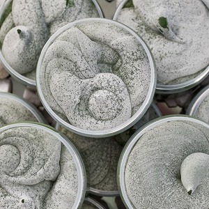 Паста ГОИ полировальная Rexant 09-3808 № 4, баночка 100 г (10 штук)