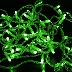 Гирлянда Нить Neon-Night 305-154 10м, постоянное свечение, прозрачный ПВХ, 24В, цвет Зелёный
