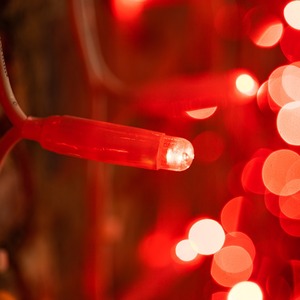 Гирлянда Светодиодный Дождь Neon-Night 237-112 2х1,5м, постоянное свечение, белый провод КАУЧУК, 230 В, диоды КРАСНЫЕ, 360 LED