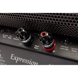 Колонка напольная Martin Logan Expression ESL 13A Gloss Black