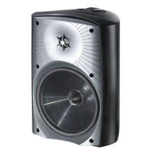 Колонка уличная Martin Logan ML-45AW Black