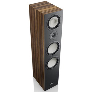 Колонка напольная CANTON GLE 90 makassar