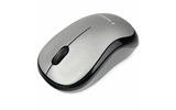 Мышь беспроводная Gembird MUSW-260