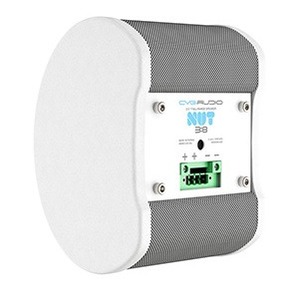 Колонка настенная CVGaudio NUT3:8W