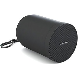 Колонка полочная CVGaudio SPC5TBL