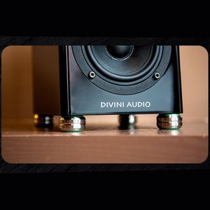 Демпфер Divini Audio DD-3 tuning spike