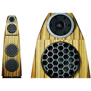 Колонка напольная Divini Audio RASA