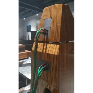 Колонка напольная Divini Audio RASA