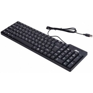 Клавиатура компьютерная Ritmix RKB-100