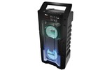 Портативная акустика Ritmix SP-830B black